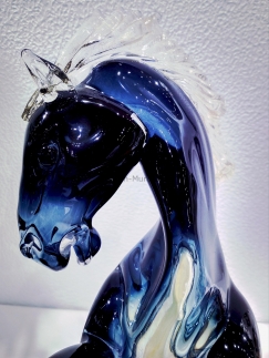 ���� Bucephalus medio