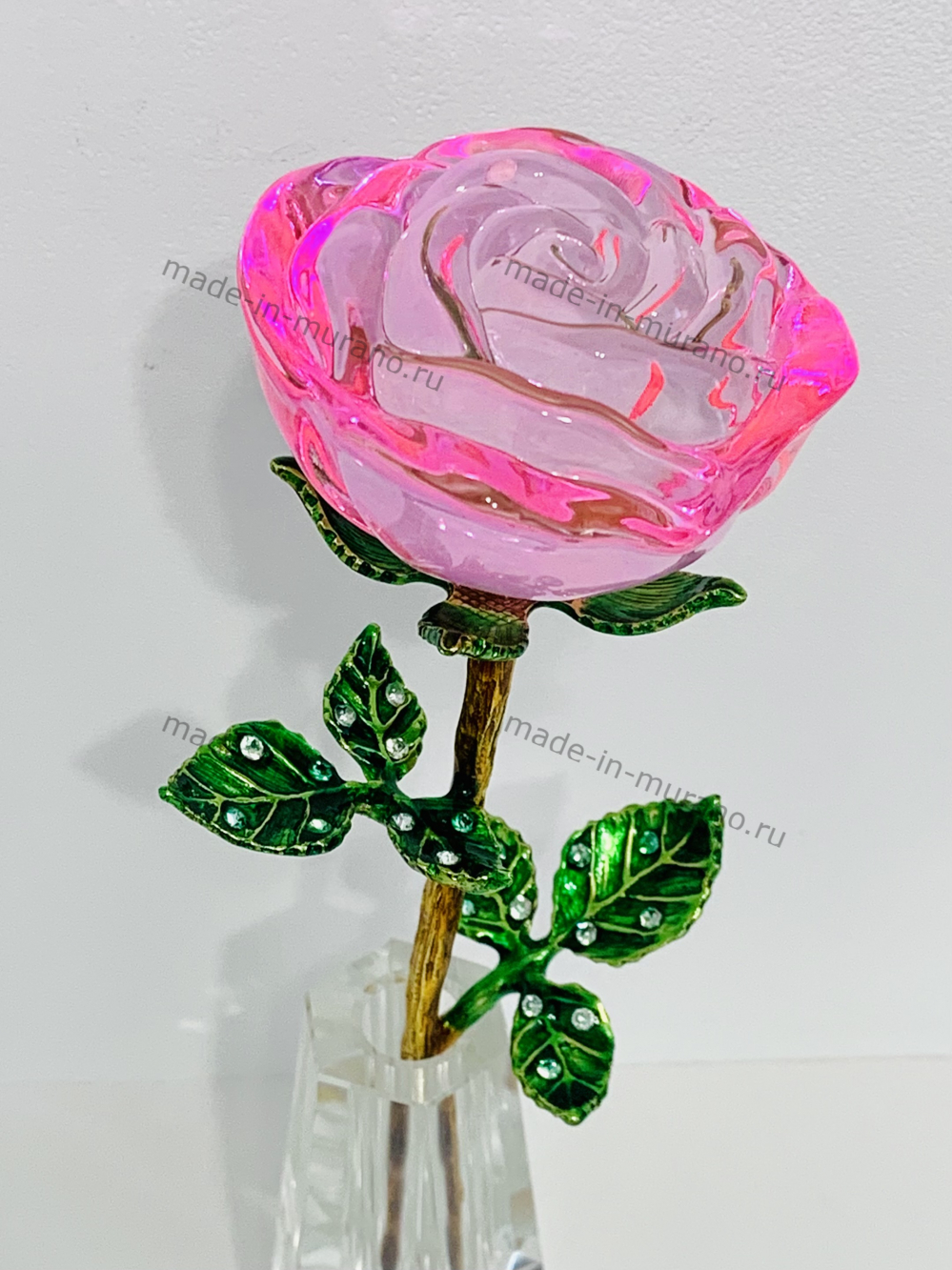 ���� � ���� La Rosa