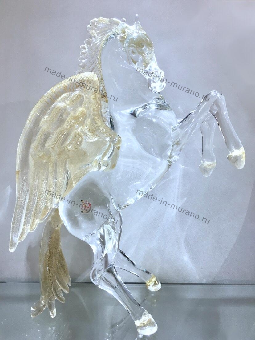 ����� Pegasus Fortuna
