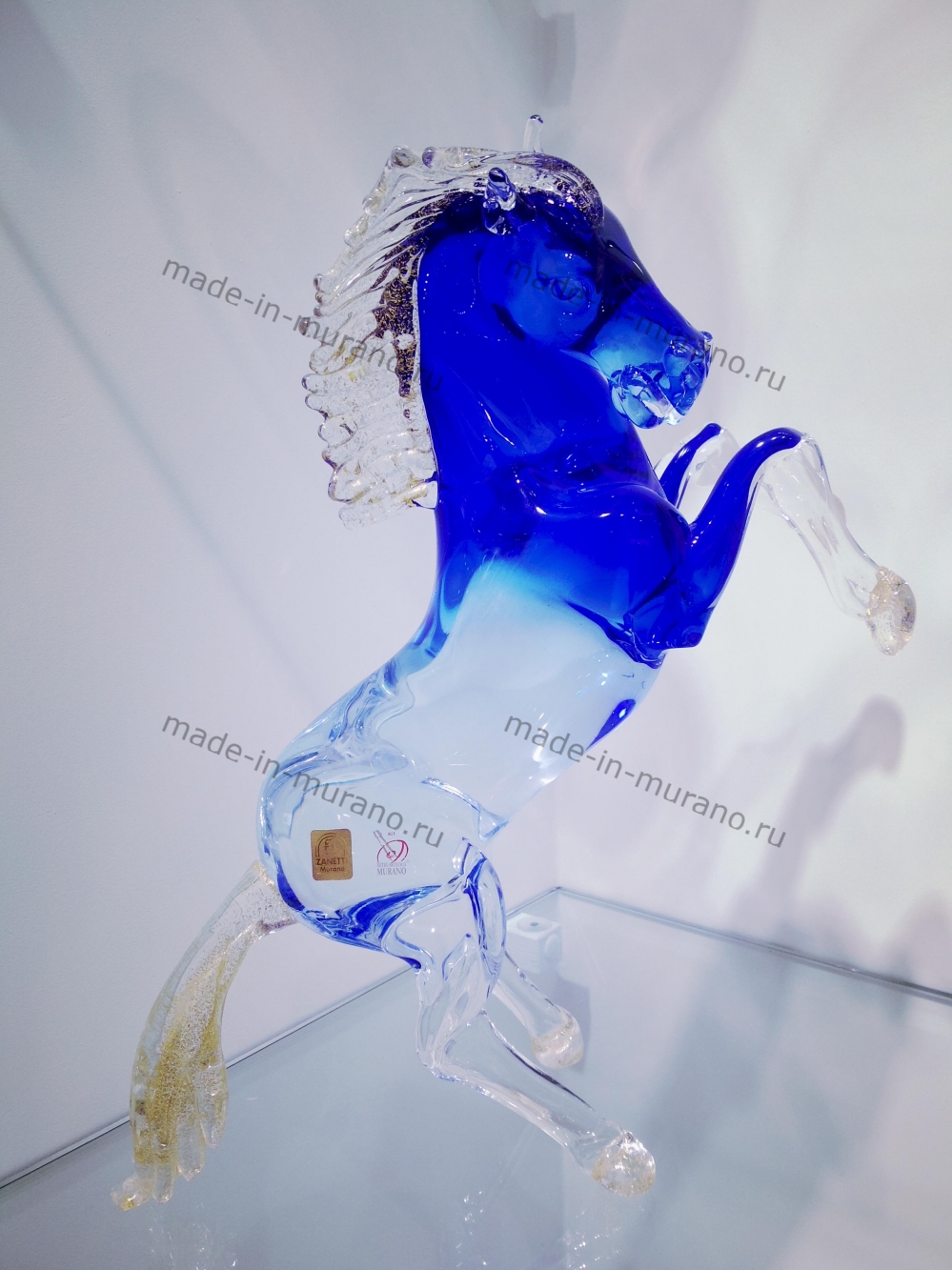 ���� Bucephalus Azzurro