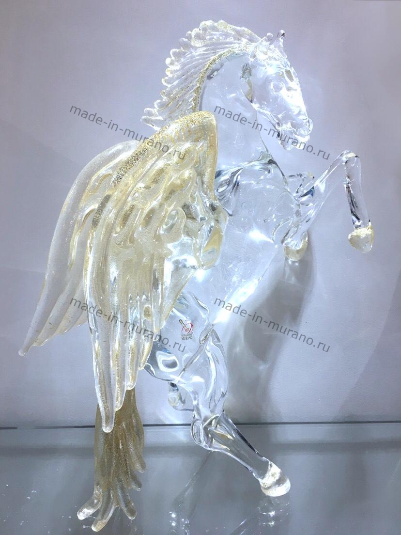 ����� Pegasus Fortuna