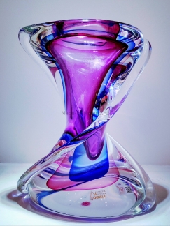 ���� Evolvente Viola Medio