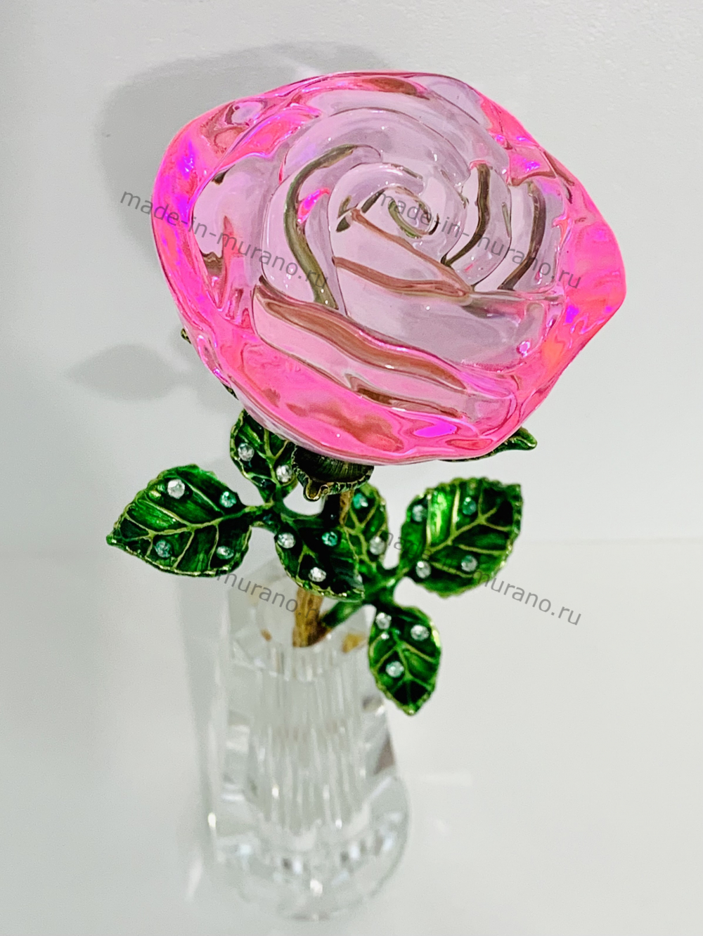 ���� � ���� La Rosa