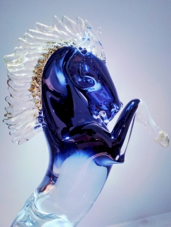 ���� Bucephalus Moon