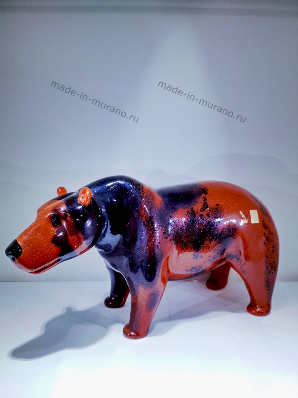 ������� Orso bruno