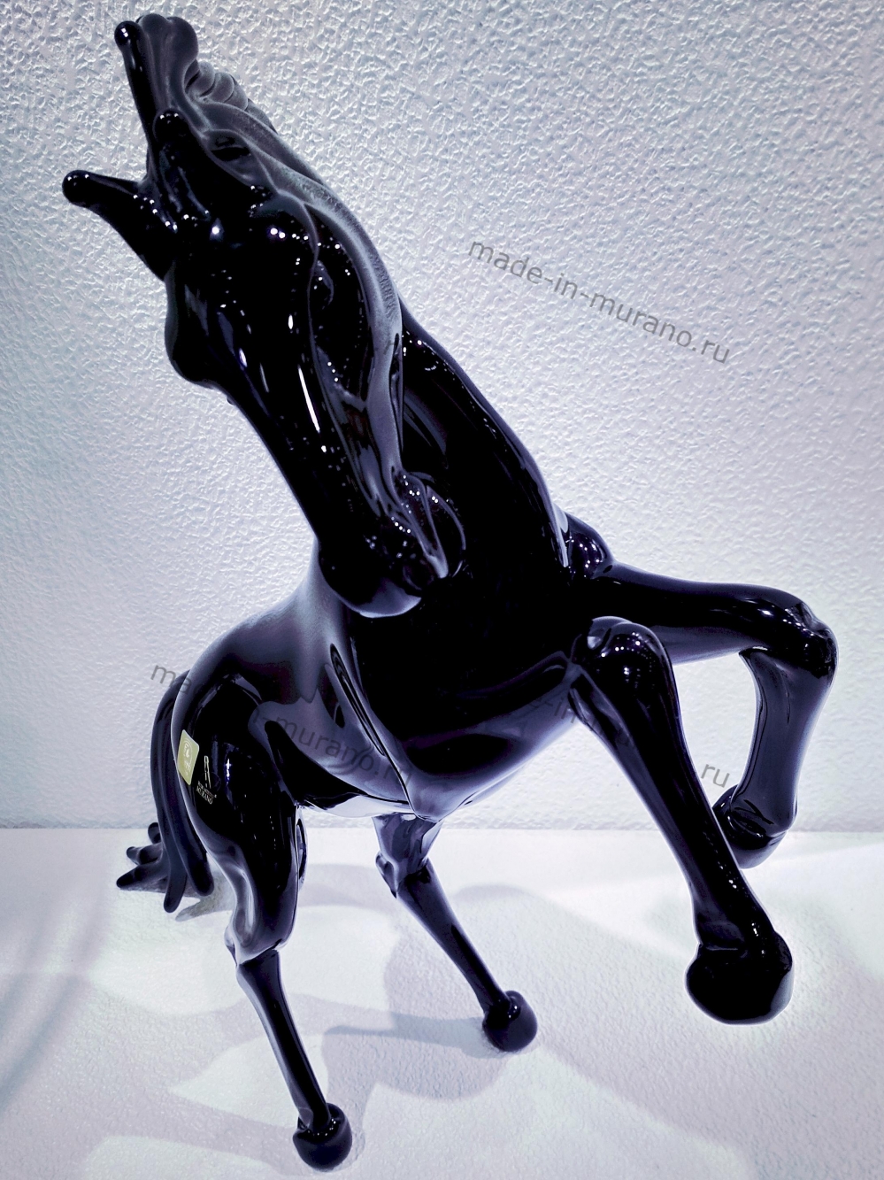 ���� Bucephalus Nero