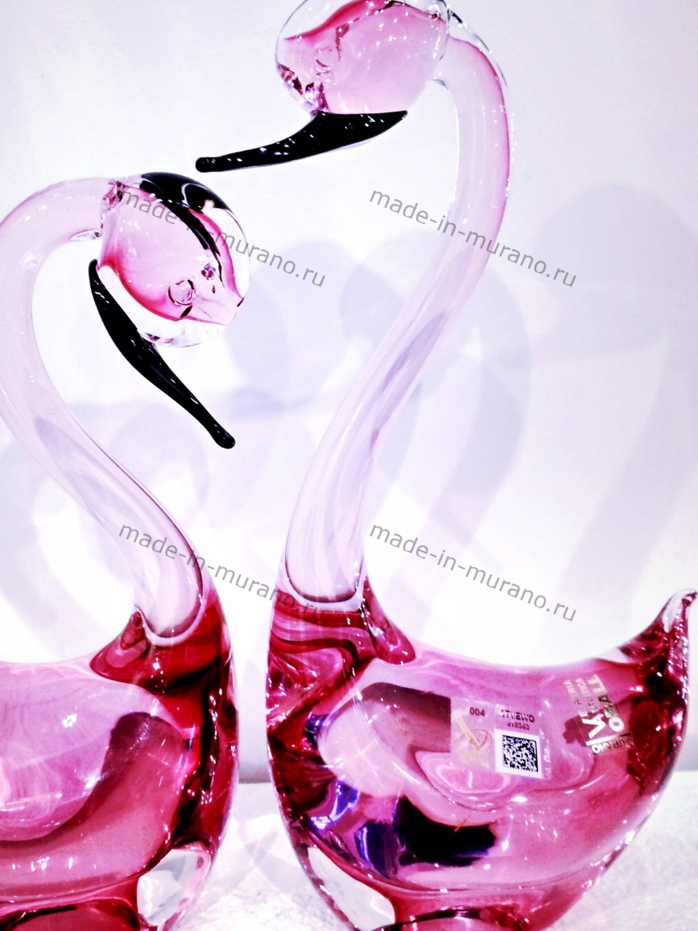 ���� ������� Rosa