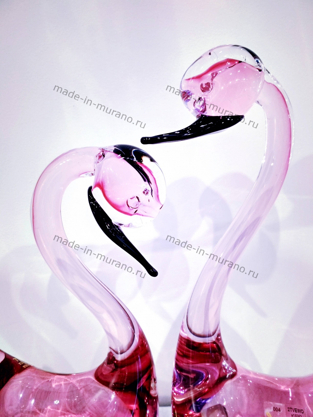 ���� ������� Rosa