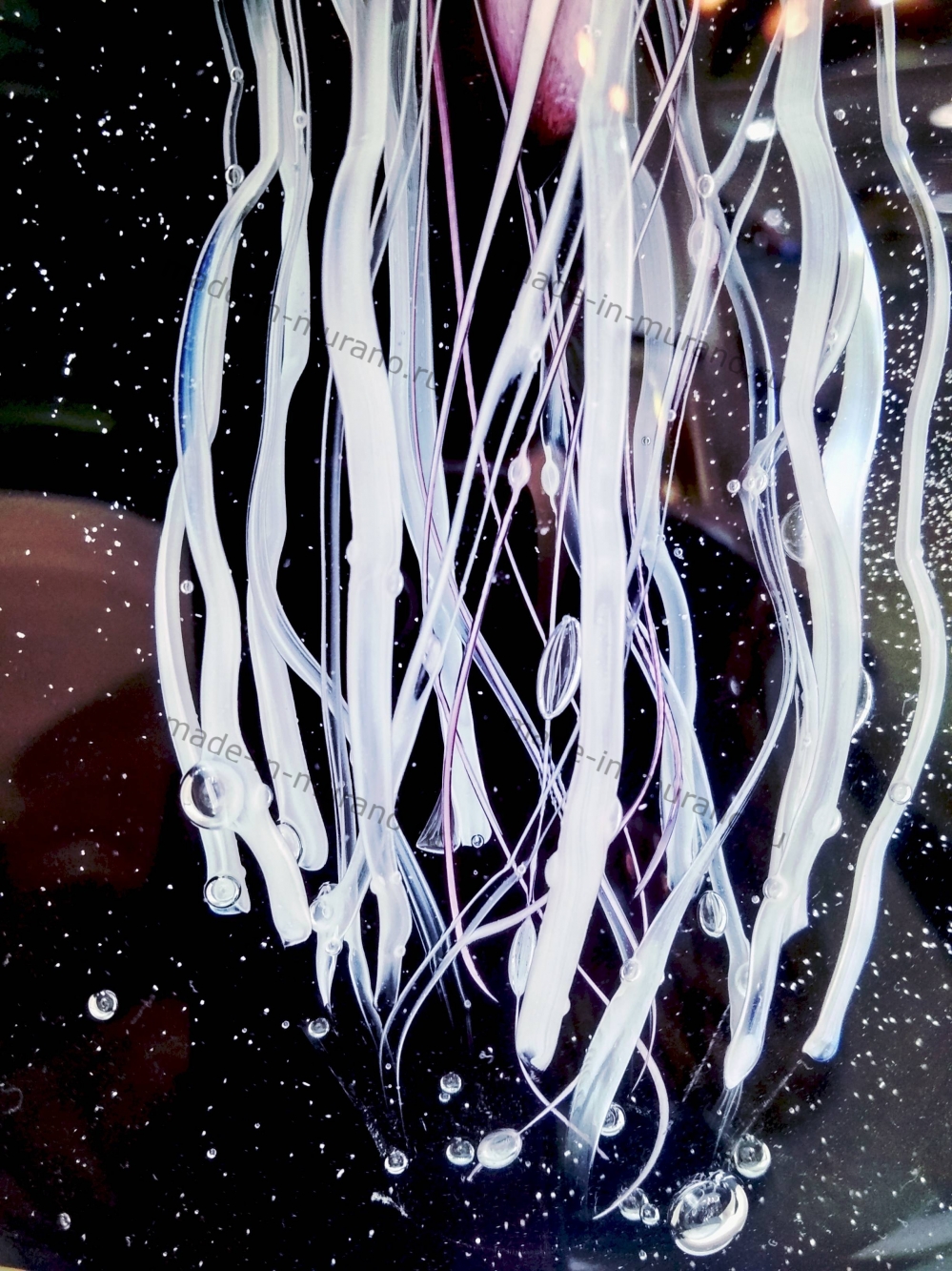 Medusa Nero colorato