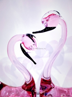 ���� ������� Rosa