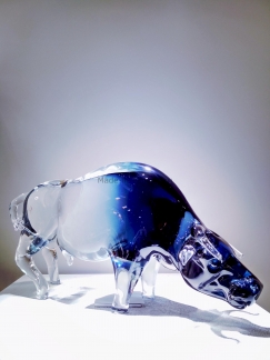 ��� Toro Grande