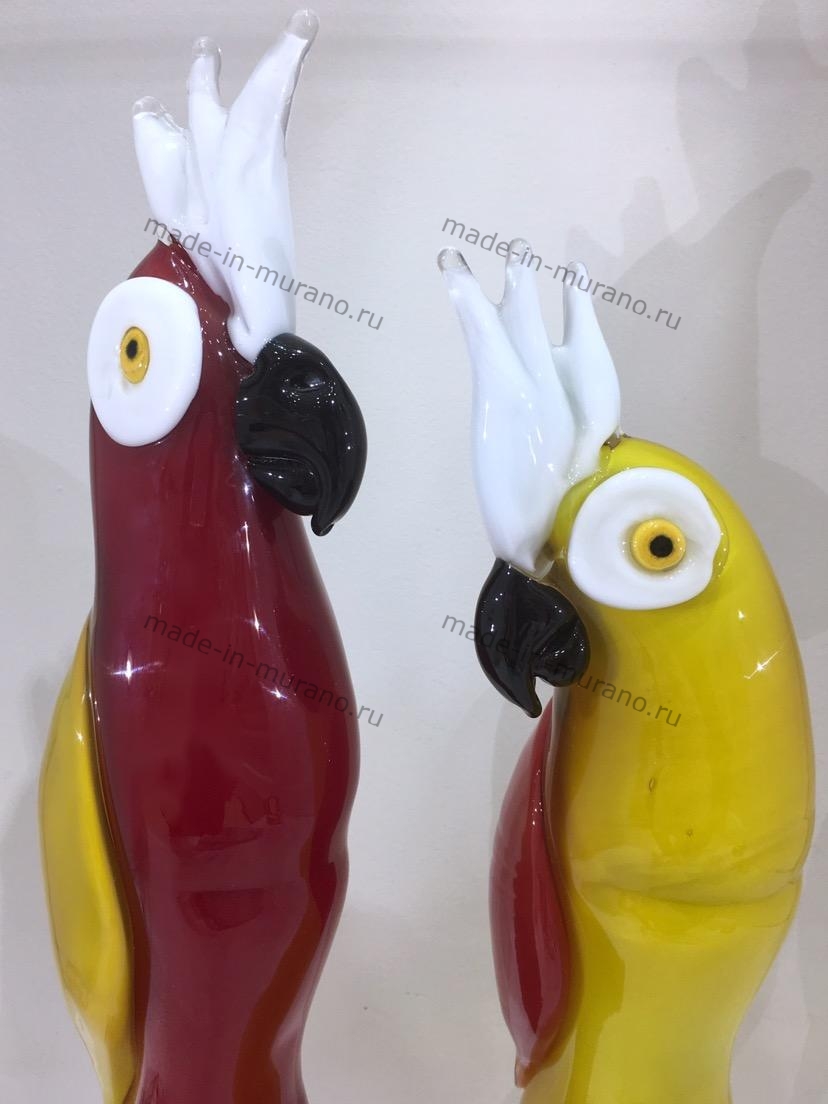 ���� �������� Roberto e Erica
