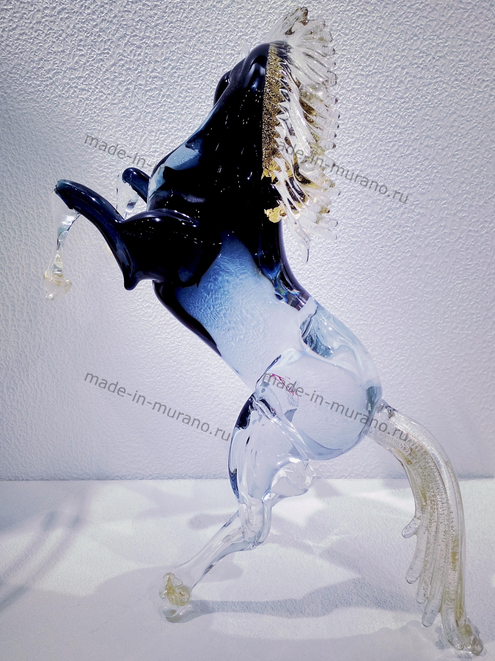 ���� Bucephalus medio