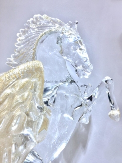 ����� Pegasus Fortuna