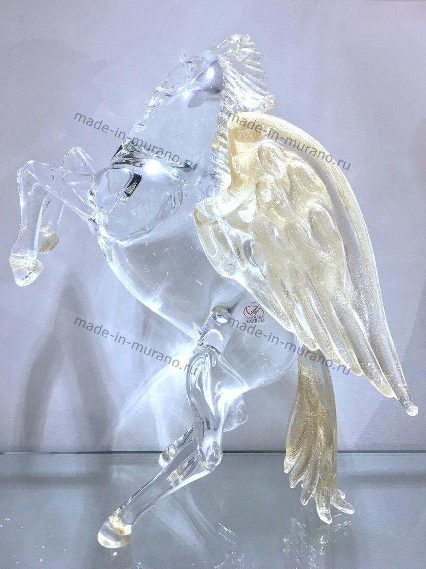 ����� Pegasus Fortuna