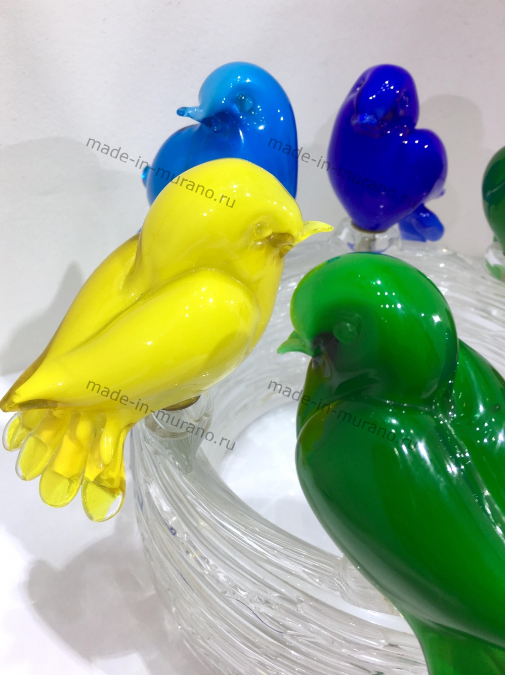 ���� � �������� Famiglia colore