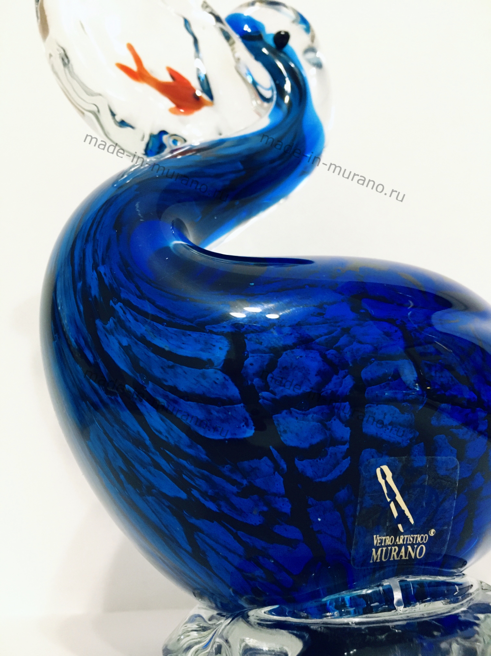 ������� Dario con il pesce