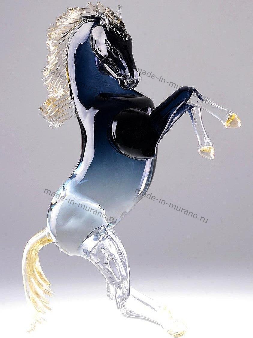���� Bucephalus grande