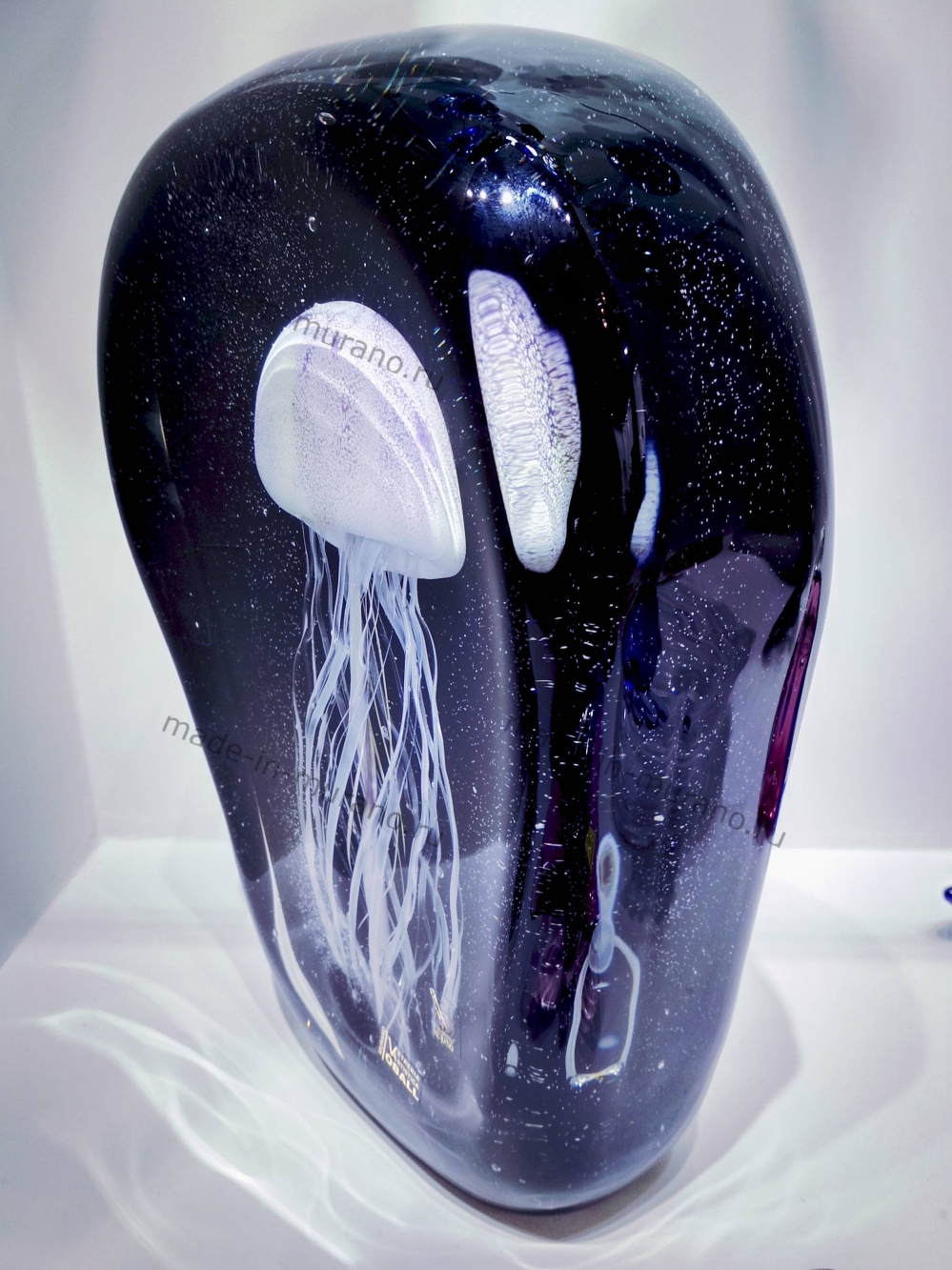 Medusa Nero