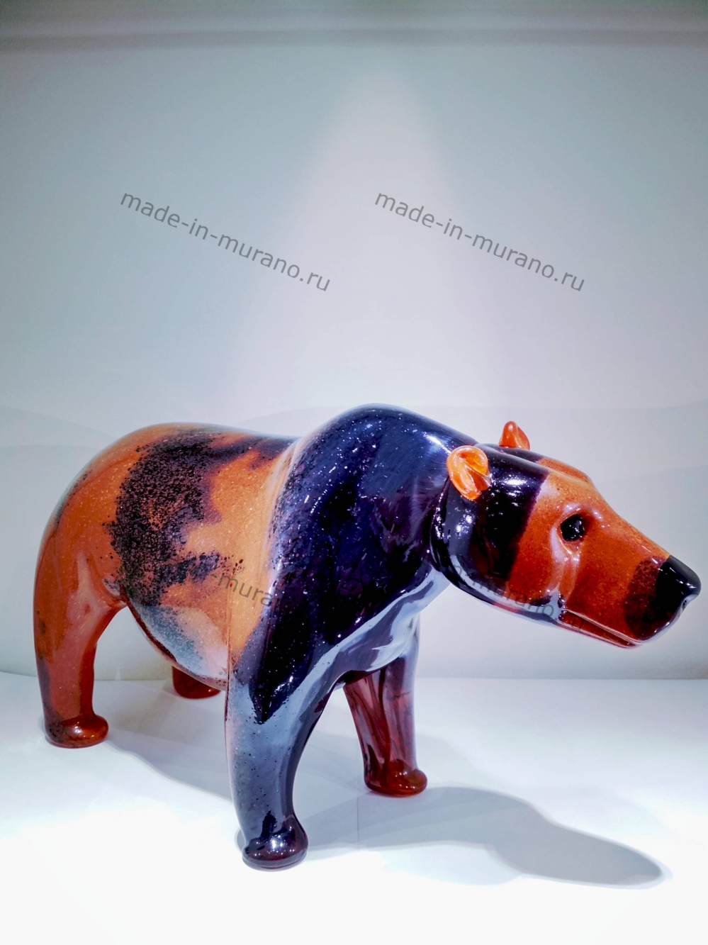 ������� Orso bruno