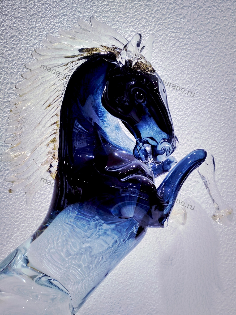 ���� Bucephalus medio