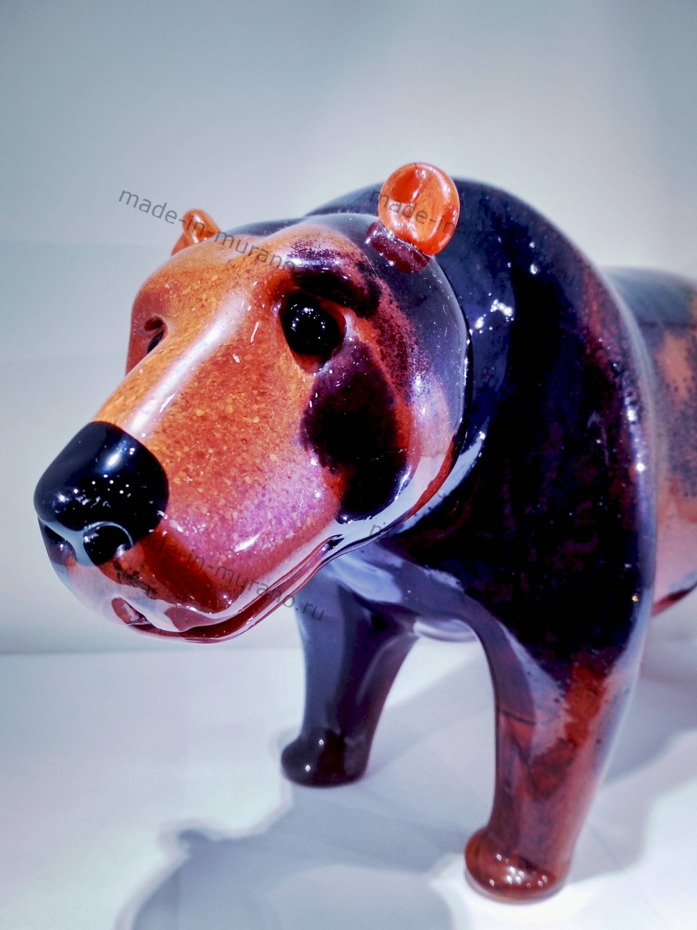 ������� Orso bruno
