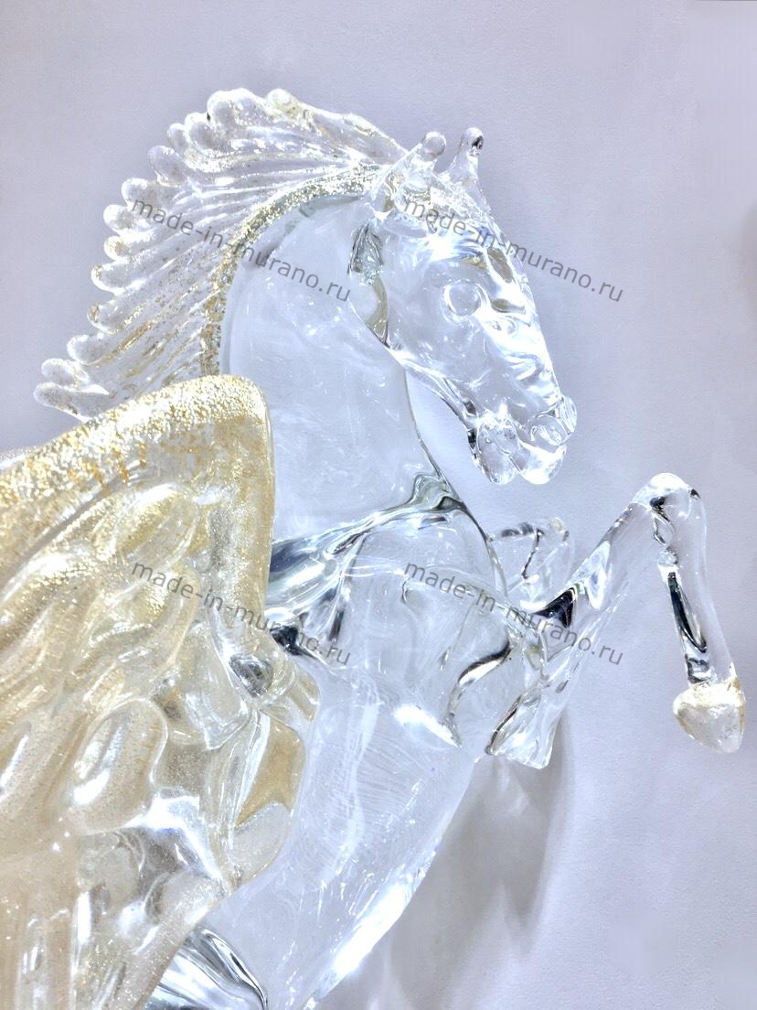 ����� Pegasus Fortuna