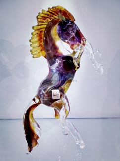 ���� Bucephalus Magico