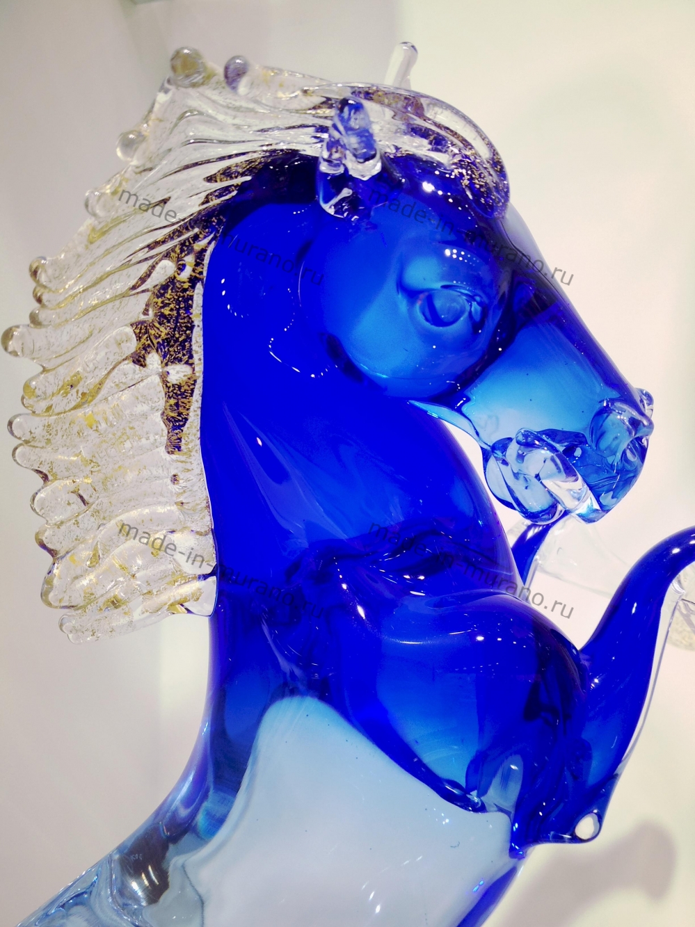 ���� Bucephalus Azzurro