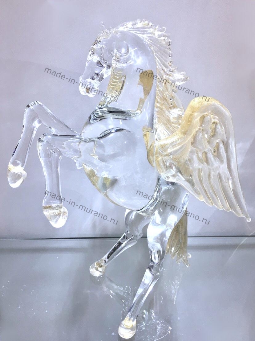 ����� Pegasus Fortuna