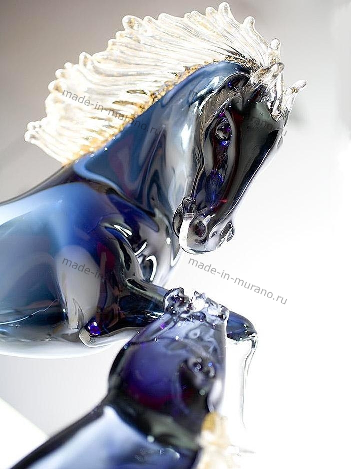 ���� Bucephalus grande